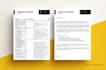 create professional resume design and CV design in 24 hours