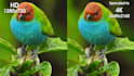 enhance your video to higher resolution using ai engine
