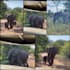 do anything for you in botswana
