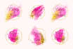 design feminine watercolor or signature logo