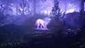 make spirit wolf logo intro video in full hd