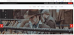 develop and customize professional PHP websites and web scripts