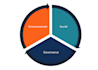 make a social impact brand, communication strategy or esg