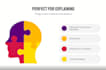 create engaging 2d animated infographics video presentation