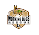 design a dog rescue logo in 1 day