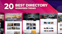 install and set up premium themes