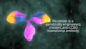make easy to understand 3d medical animation
