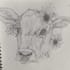 draw any animal or pet in pencil