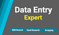perform data entry, typing, and copy paste tasks