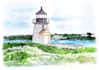 draw watercolor wedding venue