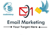 collect niche active and verify email list for email marketing
