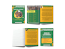 design a brochure for you