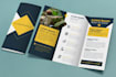 design professional flyer, bifold or trifold brochure design