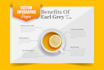 design modern and professional infographic