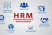 be your professional HR consultant for policies and contract