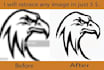 professionally retrace your image