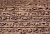 help you learn sinhala language and literature