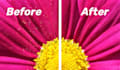 remove text, dust, scratches of your images with ai