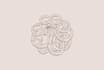 design feminine hand drawn logo
