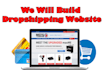 build profitable dropshipping website