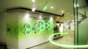 professional vfx compositing, cgi animation, tracking and background removal
