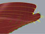 create a 3d hull shape for any ship or boat