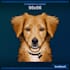 create an amazing pixel art portrait for you