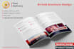 do the professional tri fold, brochure, flyer design in 10 hours
