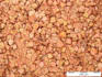 study sedimentology of rock thin sections
