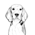 draw vector line art for your pet 24 hours