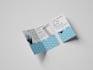 create creative and interesting brochures for your business