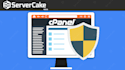 setup,manage and troubleshoot your cpanel plesk vps server