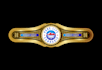 do premium cigar brands label logo and box design