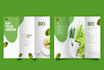 design lookbook sellsheet linesheet and brochure