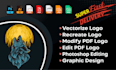 do vector conversion, edit, modify, and make any design changes you need