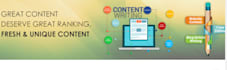 do content writing and  technical writing
