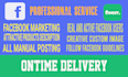 do facebook marketing for you in the USA
