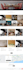 build shopify dropshipping store or shopify website