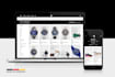 build your professional magento 2 store