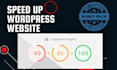 create, customize or fix your wordpress website