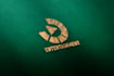 do unique professional logo design that you deserve