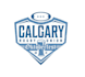 make a wonderful rugby logo design