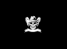 creative skull logo in high definition
