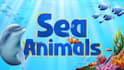 create 2d 3d kids animated videos for youtube channel