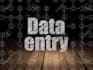 do excel data entry and web search