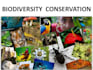 work on evolution and biodiversity