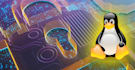 do server maintenance and server protection