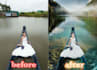 edit your photos professionally, quickly and perfectly