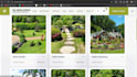 develop a professional wordpress website