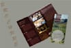 design company, bifold, trifold and flyer brochure